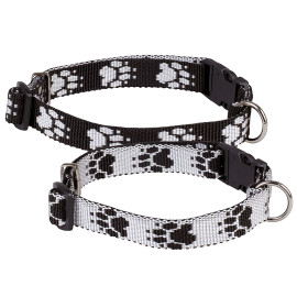 Collar cachorro, max. 40cm